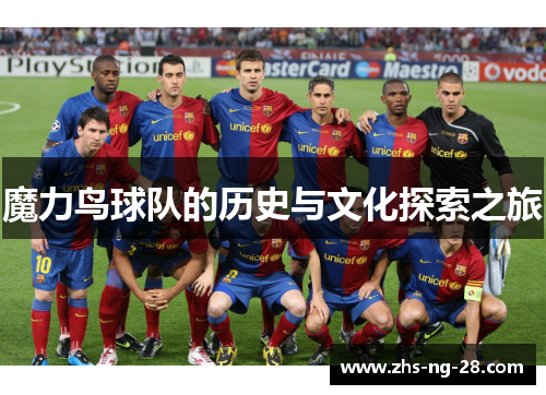 魔力鸟球队的历史与文化探索之旅
