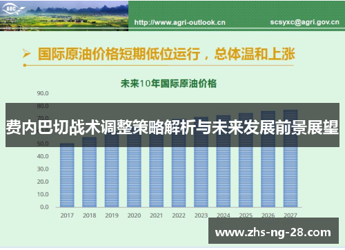 费内巴切战术调整策略解析与未来发展前景展望